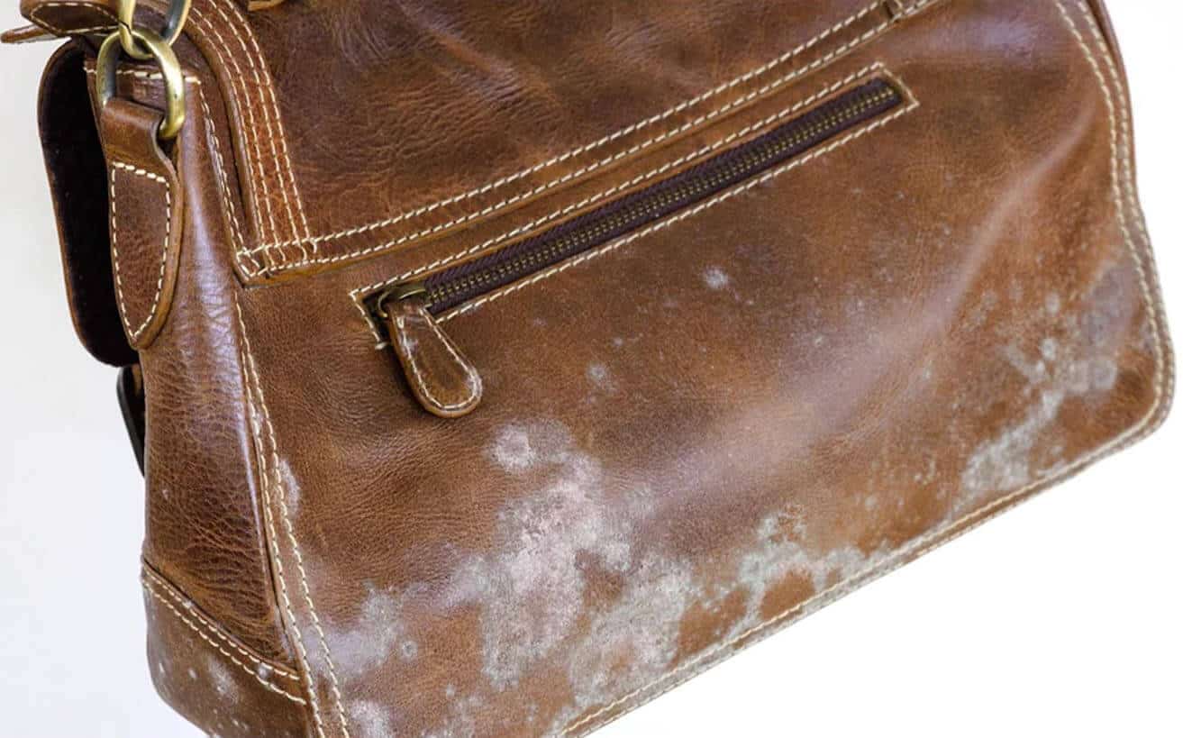 How To Prevent Leather Bag From Mould?